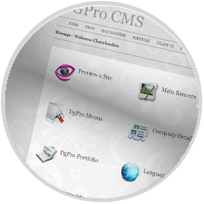Digipro<sup>®</sup> Custom Content Management System (CMS)