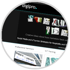 Digipro<sup>®</sup> Website